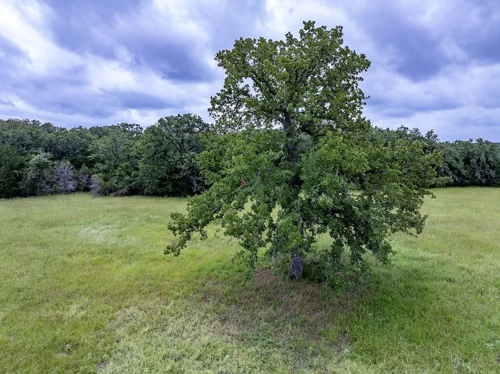 4 Feder Way West Point, TX 78963