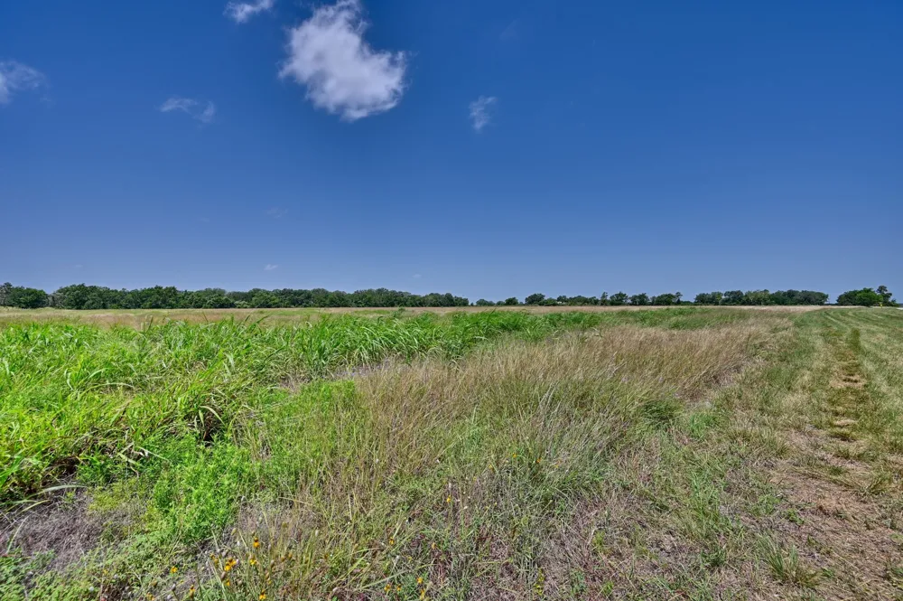 FM 2981 Fayetteville, TX 78940