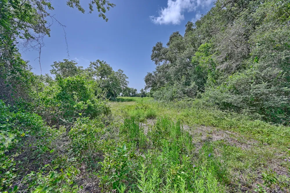 FM 2981 Fayetteville, TX 78940