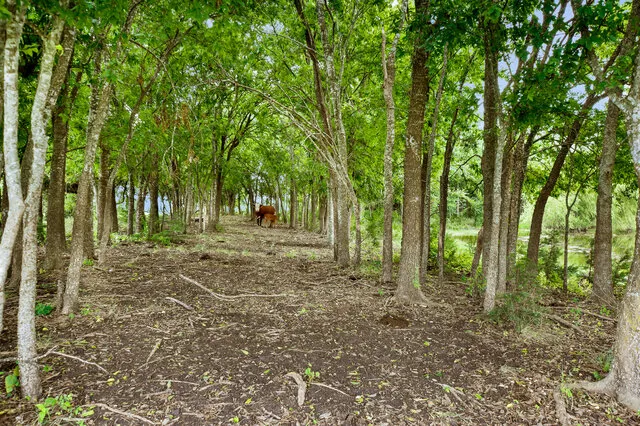 4021 E Fm 243 Bertram, TX 78605