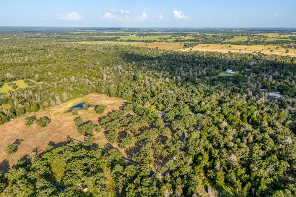 1474 County Road B Lexington, TX 78947