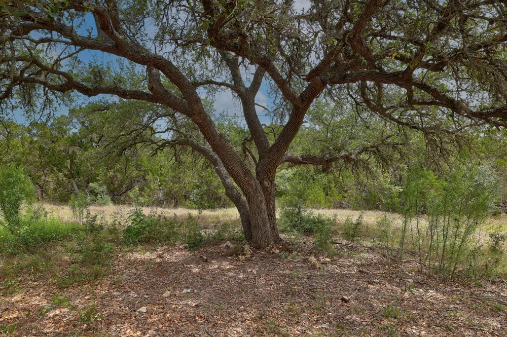 1400 Panther Creek Road Driftwood, TX 78619