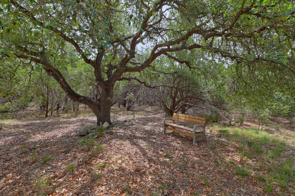 1400 Panther Creek Road Driftwood, TX 78619