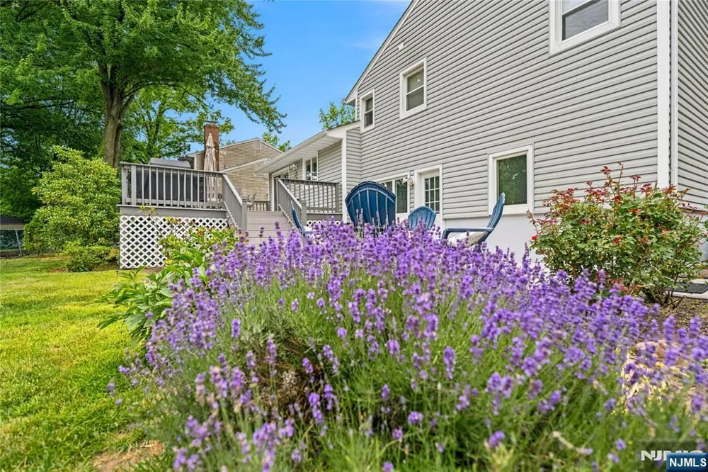 290 McHenry Drive Paramus, NJ 07652