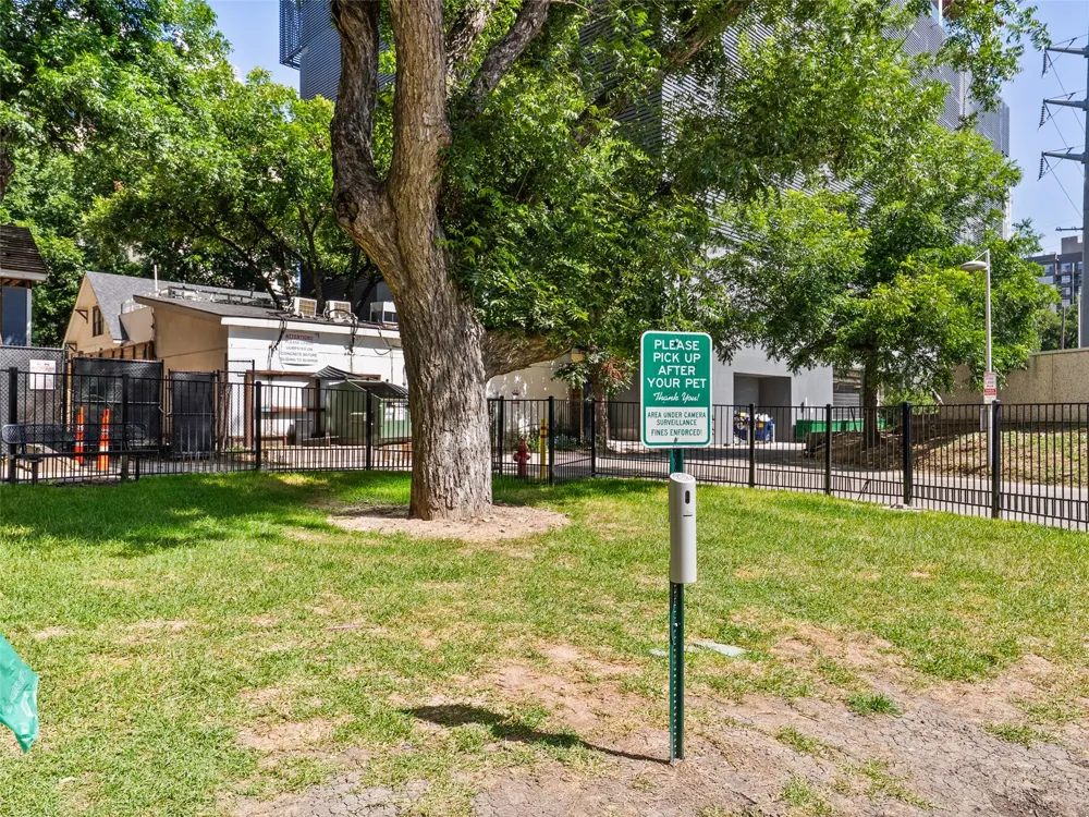 603 Davis Street #101 Austin, TX 78701