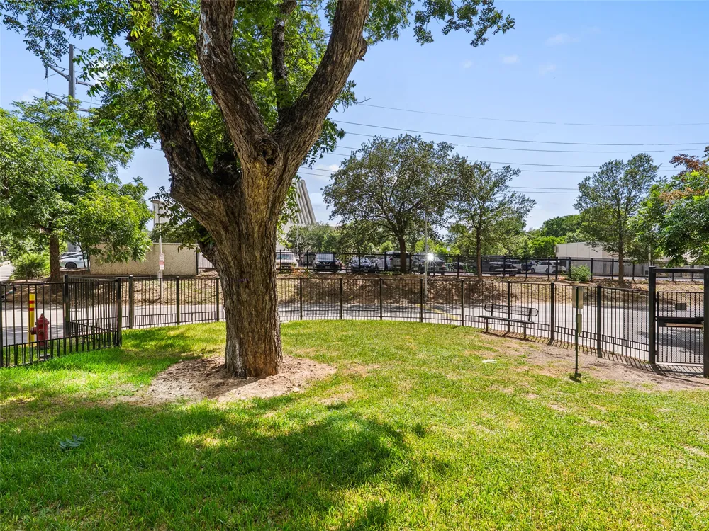 603 Davis Street #101 Austin, TX 78701