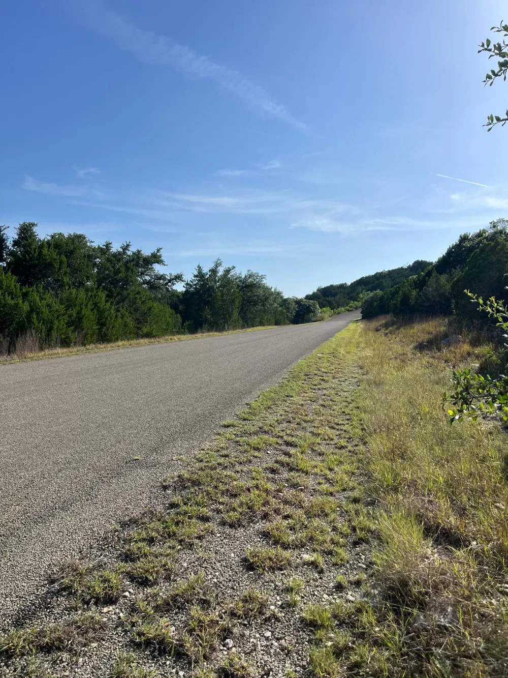 227 Whitewater Drive Bertram, TX 78605