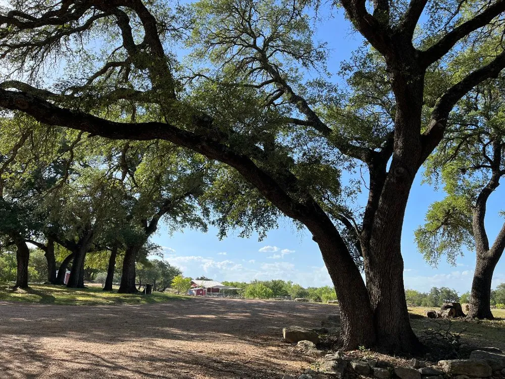 227 Whitewater Drive Bertram, TX 78605