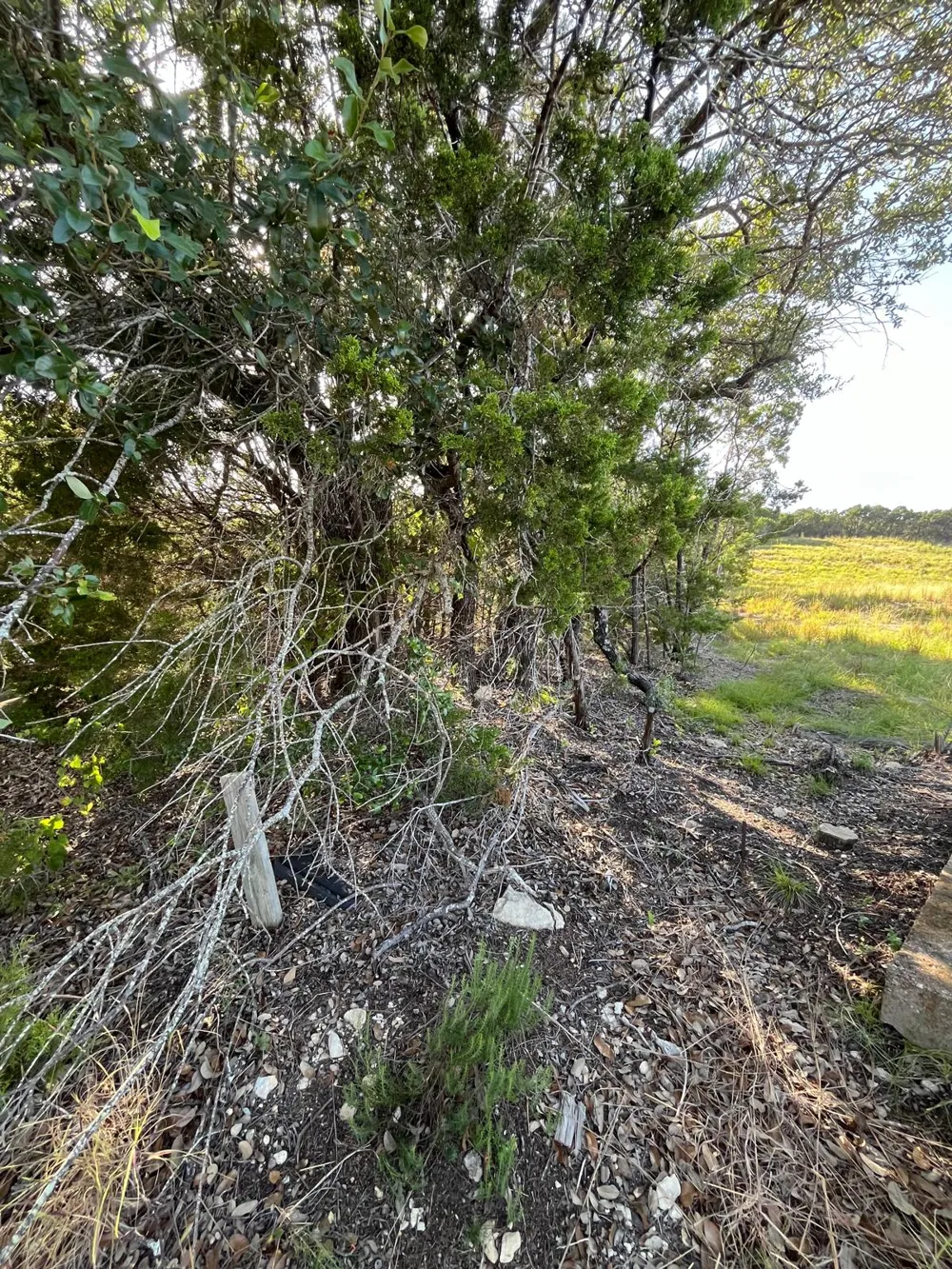 227 Whitewater Drive Bertram, TX 78605