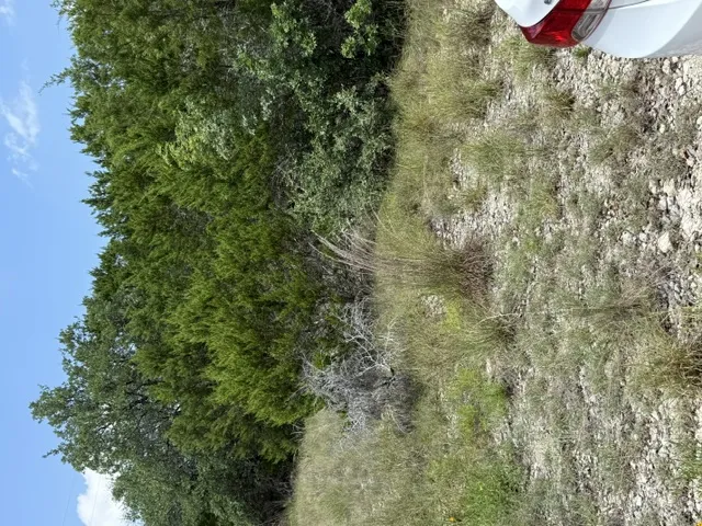 25402 Fawn Drive Leander, TX 78641