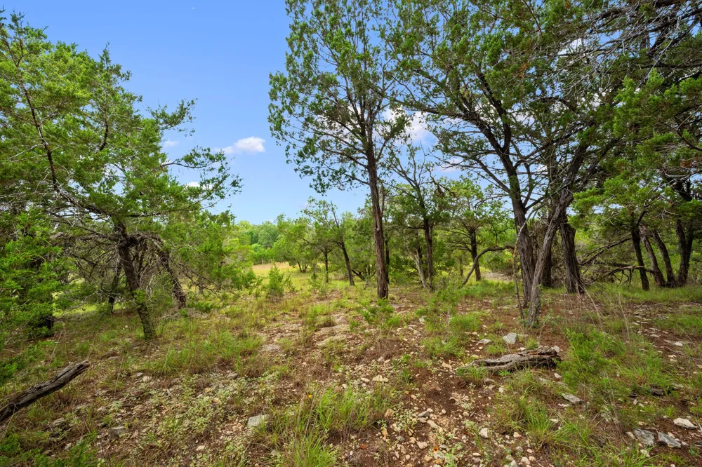 1029 Sunset Canyon Drive Dripping Springs, TX 78620