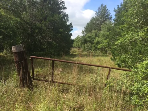 Cummins Creek Road
