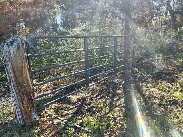 Cummins Creek Road New Ulm, TX 78950