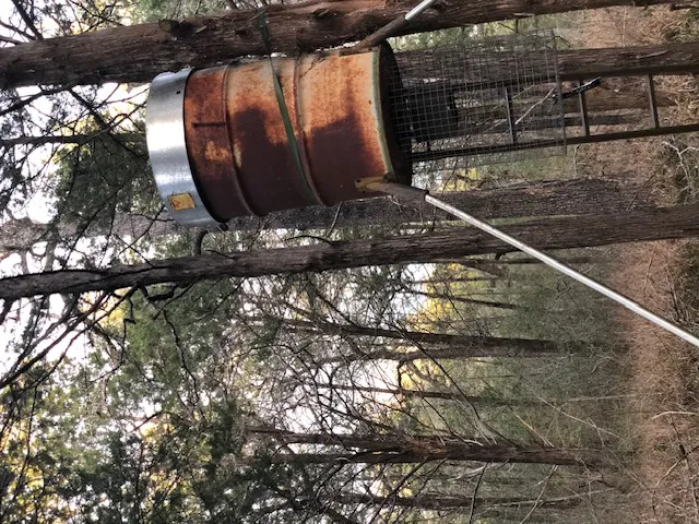 Cummins Creek Road New Ulm, TX 78950