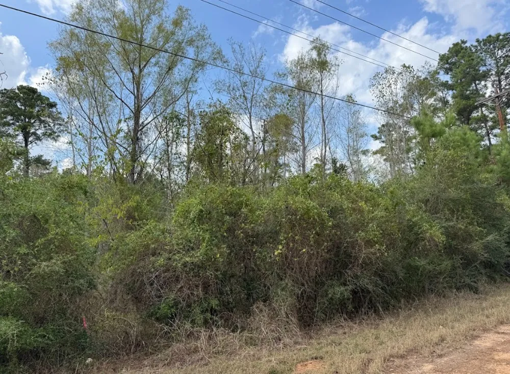 233 MAKAHA DRIVE Bastrop, TX 78602