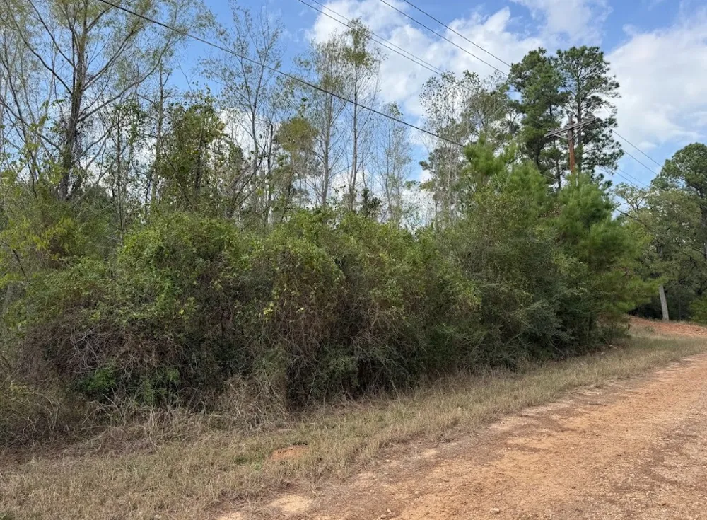 233 MAKAHA DRIVE Bastrop, TX 78602