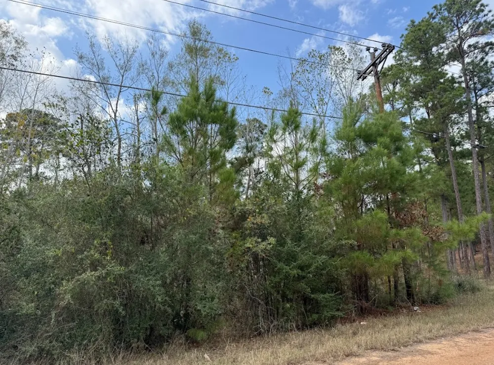 233 MAKAHA DRIVE Bastrop, TX 78602