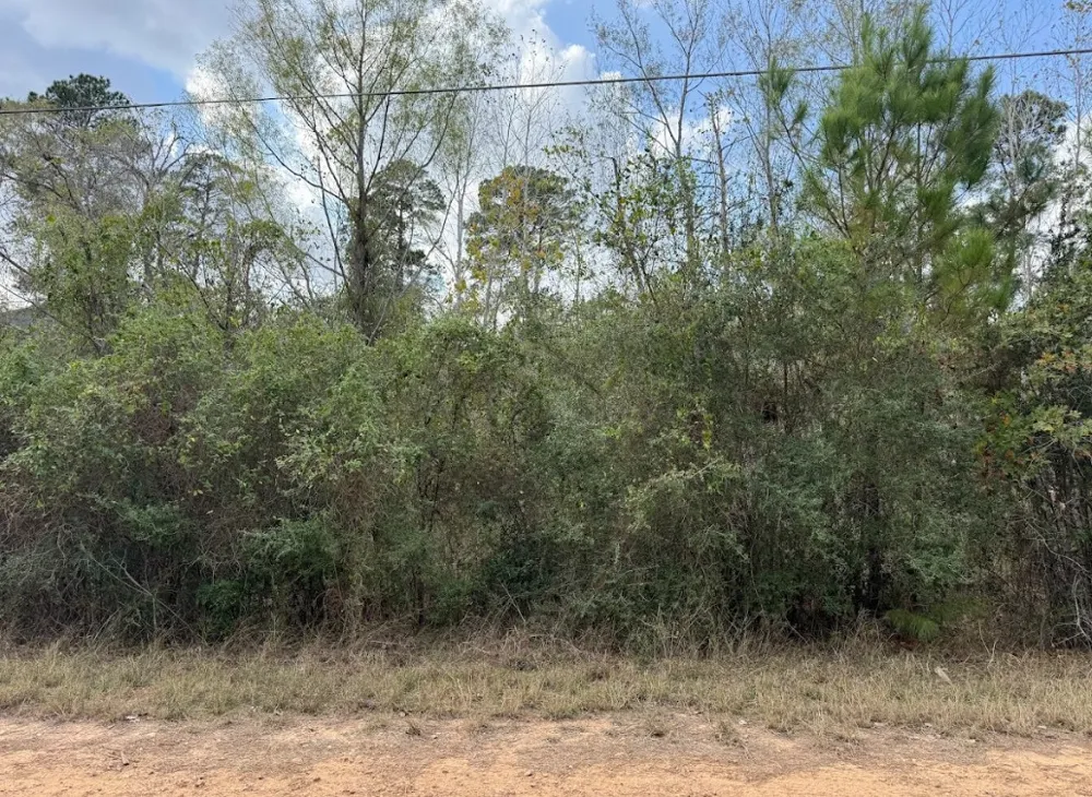 233 MAKAHA DRIVE Bastrop, TX 78602