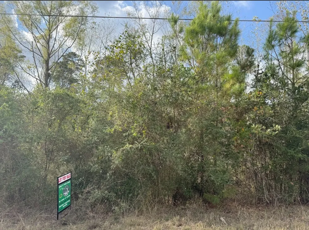 233 MAKAHA DRIVE Bastrop, TX 78602