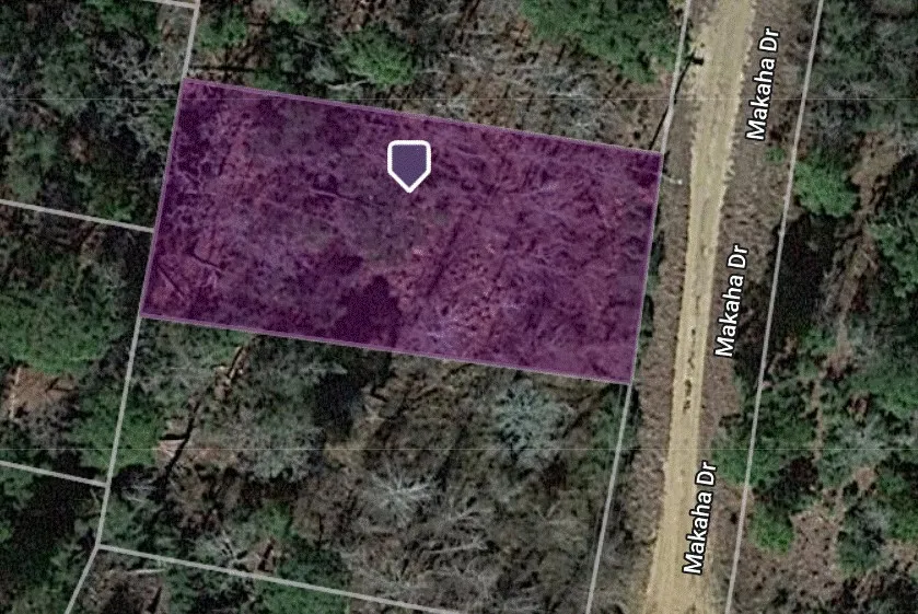 233 MAKAHA DRIVE Bastrop, TX 78602