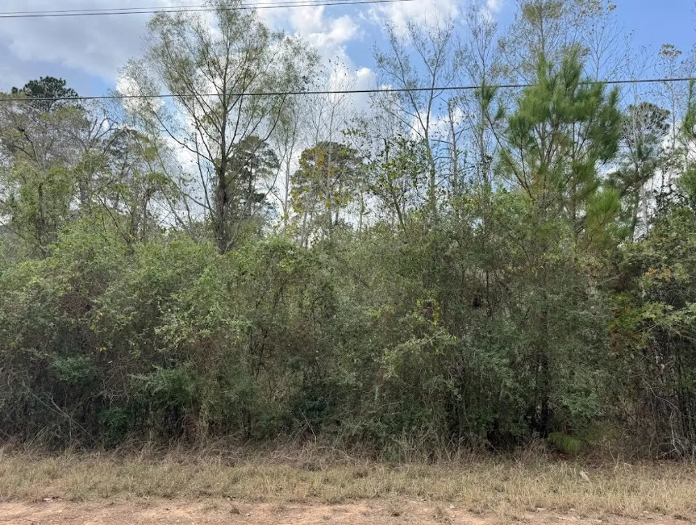 233 MAKAHA DRIVE Bastrop, TX 78602