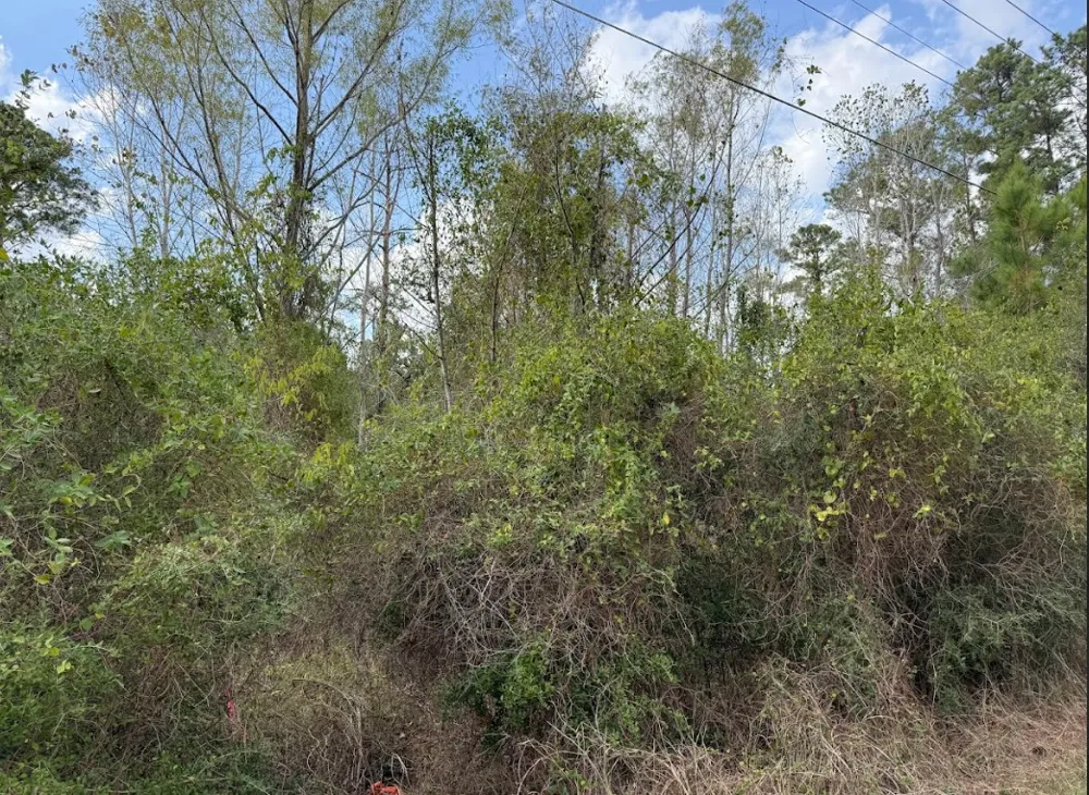 233 MAKAHA DRIVE Bastrop, TX 78602
