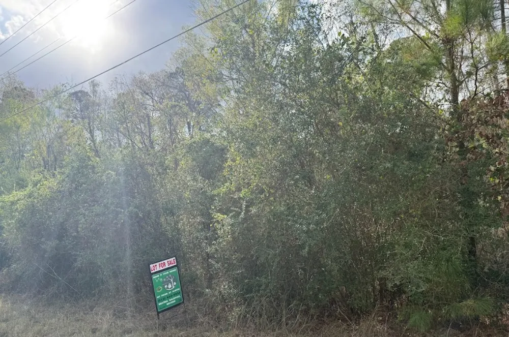 233 MAKAHA DRIVE Bastrop, TX 78602