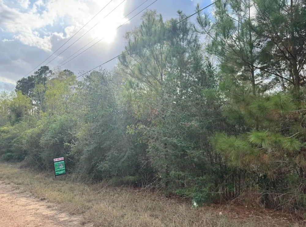 233 MAKAHA DRIVE Bastrop, TX 78602