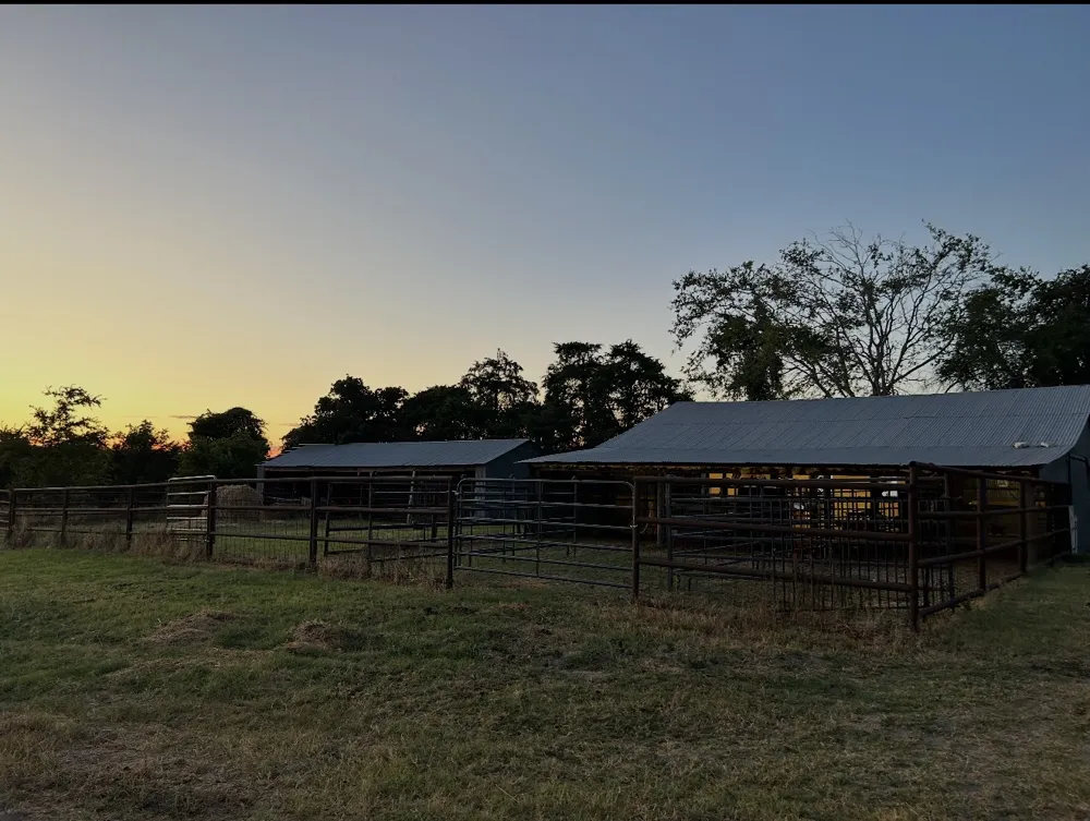 15892 Wood Rd Highway Holland, TX 76534