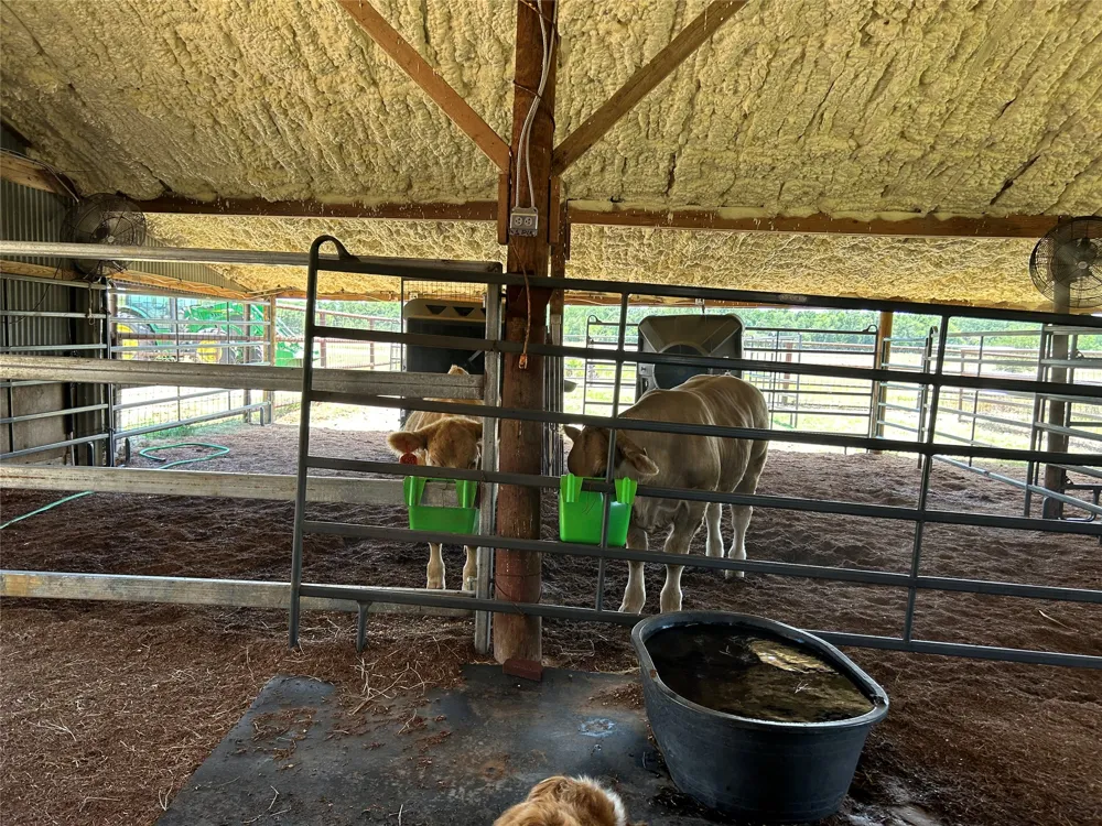 15892 Wood Rd Highway Holland, TX 76534