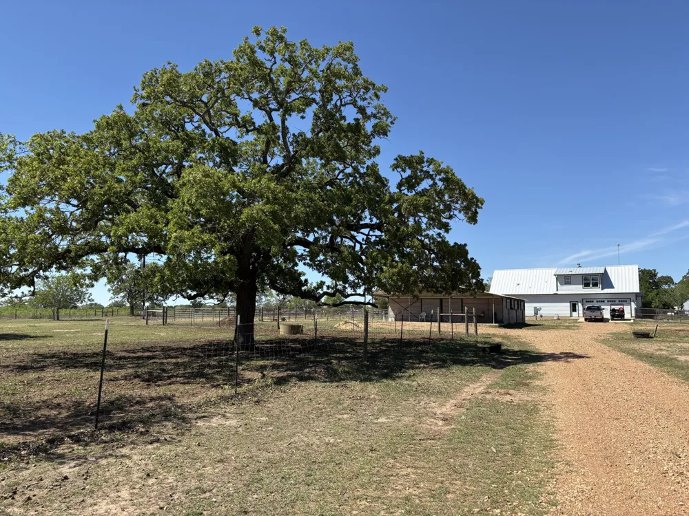1434 Antioch Road Paige, TX 78659