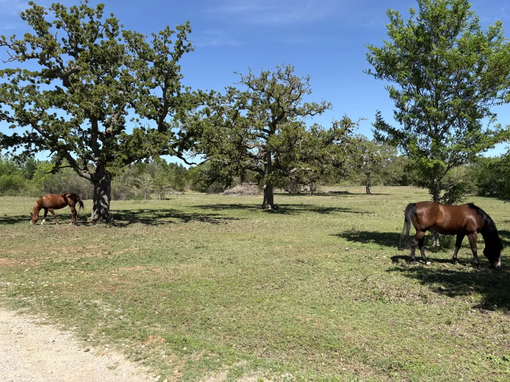 1434 Antioch Road Paige, TX 78659