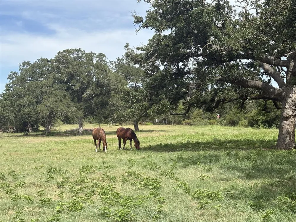 1434 Antioch Road Paige, TX 78659