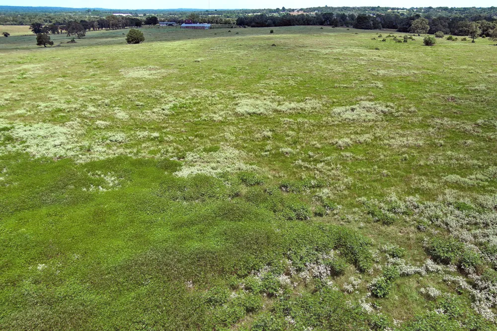 Hofferek Road Rosanky, TX 78953