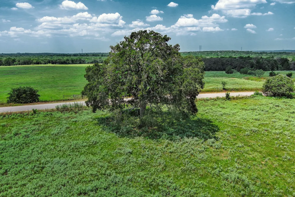 Hofferek Road Rosanky, TX 78953