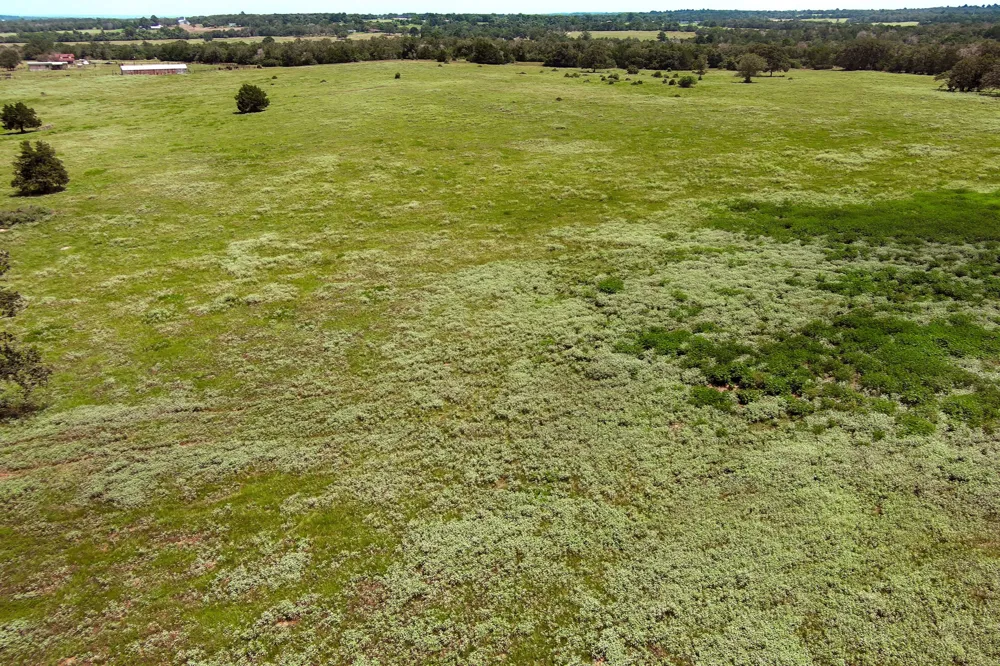 Hofferek Road Rosanky, TX 78953