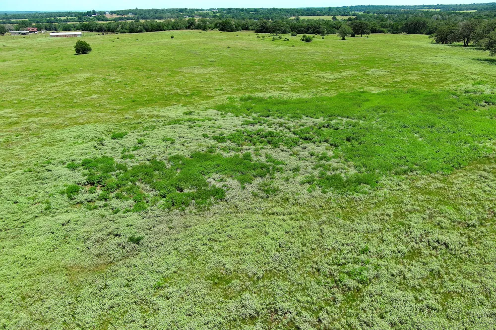 Hofferek Road Rosanky, TX 78953