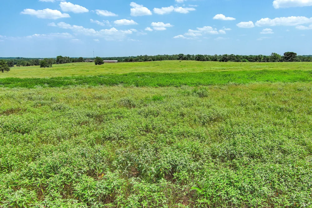 Hofferek Road Rosanky, TX 78953