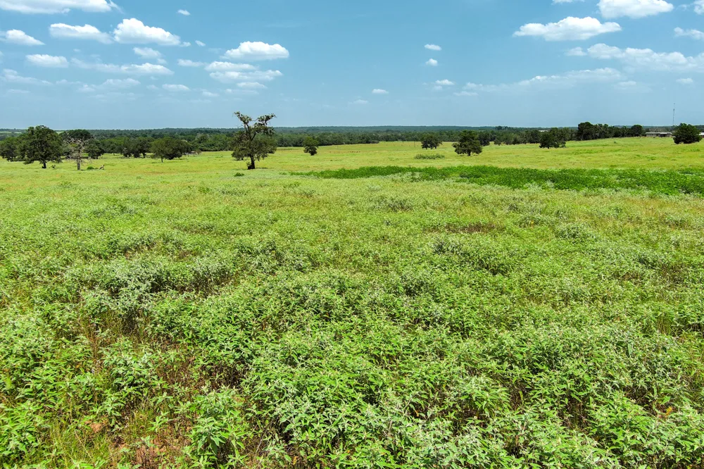 Hofferek Road Rosanky, TX 78953