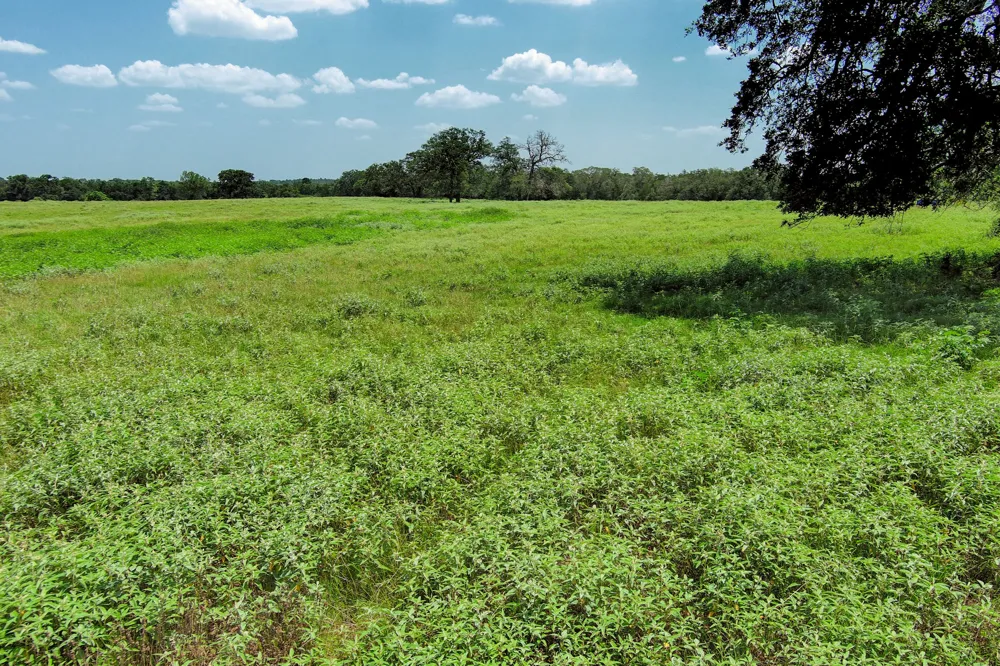 Hofferek Road Rosanky, TX 78953