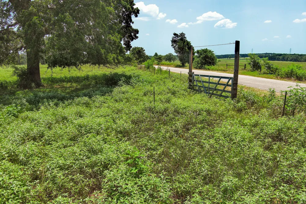 Hofferek Road Rosanky, TX 78953