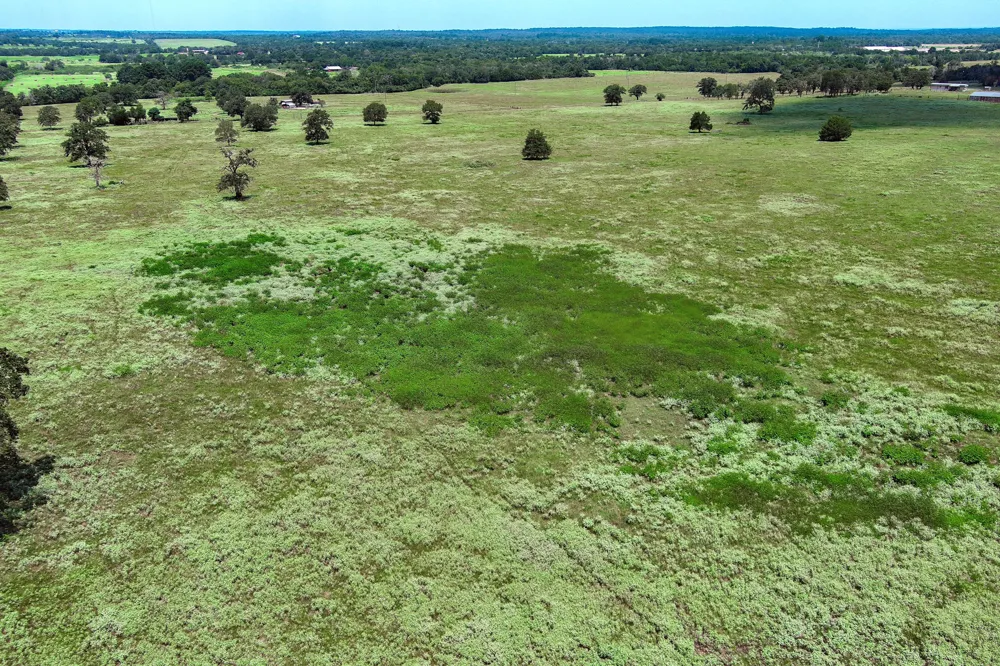 Hofferek Road Rosanky, TX 78953