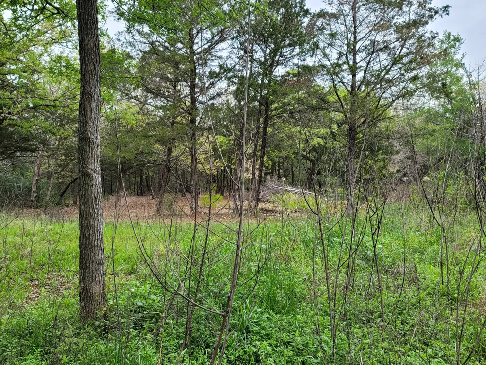 160 Arbor Hill Way Cedar Creek, TX 78612