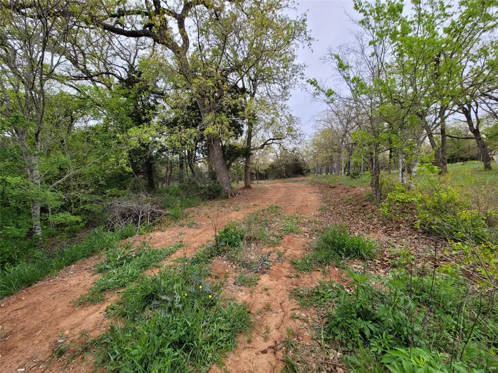 160 Arbor Hill Way Cedar Creek, TX 78612