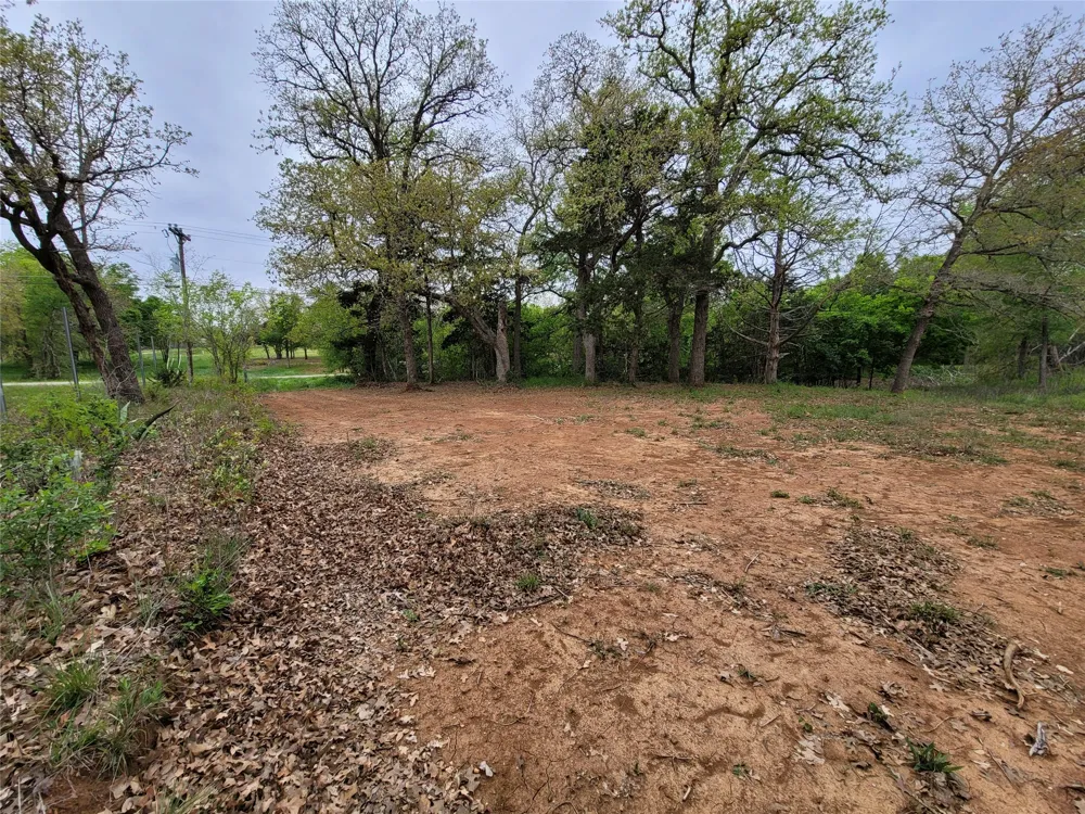 160 Arbor Hill Way Cedar Creek, TX 78612