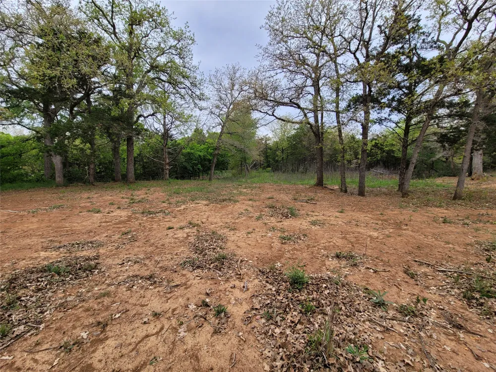 160 Arbor Hill Way Cedar Creek, TX 78612