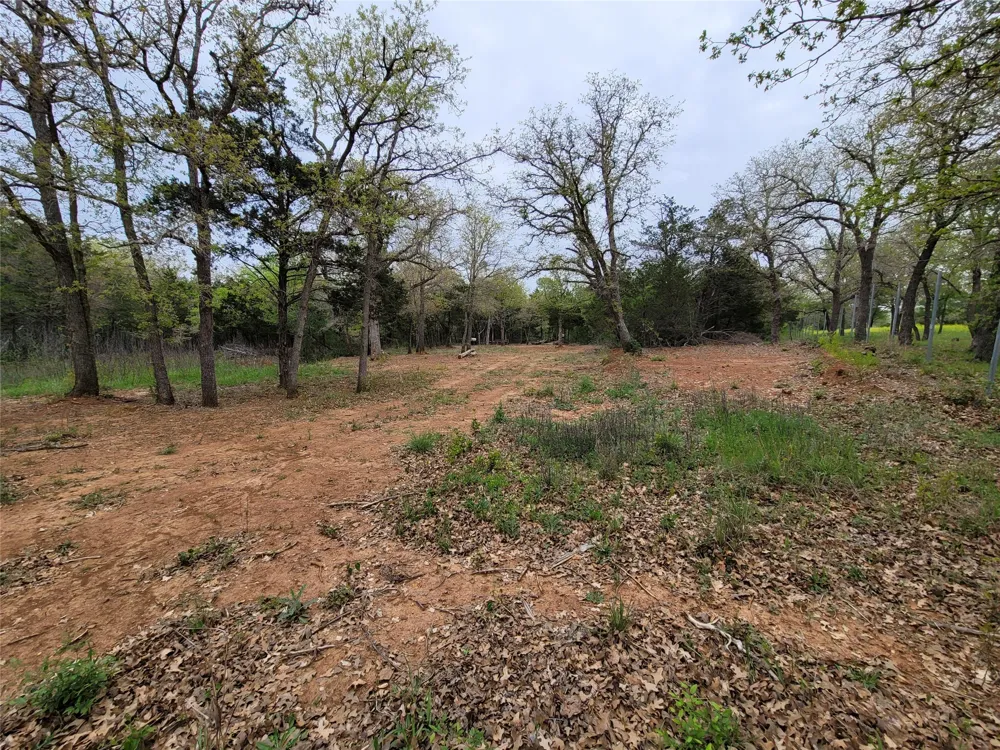 160 Arbor Hill Way Cedar Creek, TX 78612