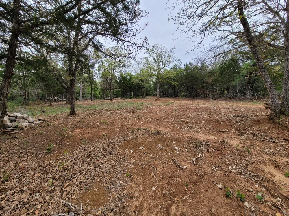 160 Arbor Hill Way Cedar Creek, TX 78612