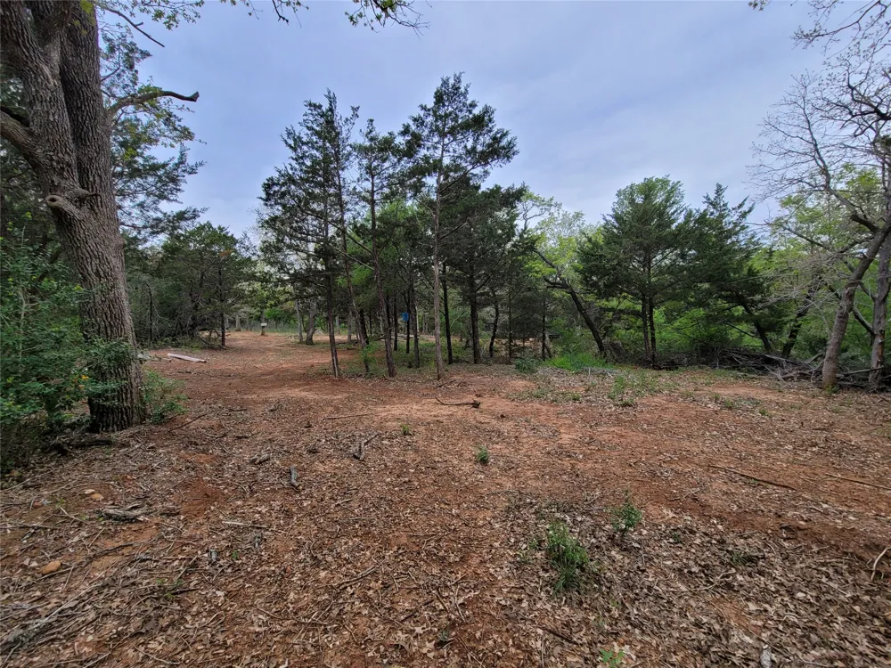 160 Arbor Hill Way Cedar Creek, TX 78612