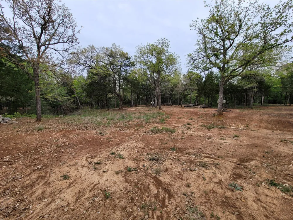 160 Arbor Hill Way Cedar Creek, TX 78612